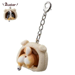 y撅N[|z炵܂IČ@  L[z_[  Vo 킢 ybg ysC PEPPY