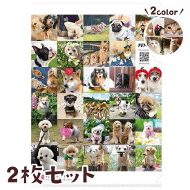 楽天市場 犬 クリアファイルの通販 楽天市場 犬 クリアファイルの通販