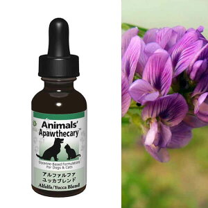 Aj}YApXL[ At@t@EbJuh n[u Tvg I[KjbN fBJn[u