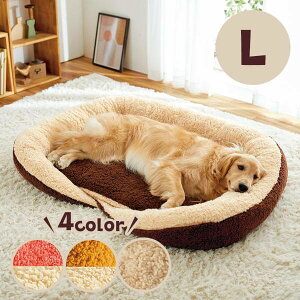 L xbh xbh ~ h {A  ӂӂ Vv ӂӂ@RۖhLӂXNGAxbh L