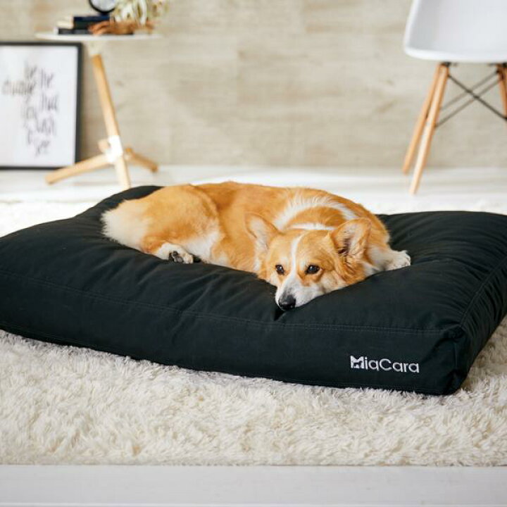 楽天市場】ドッグクッション ルビオ S 幅80×奥行60×高さ14cm ベッド 犬  