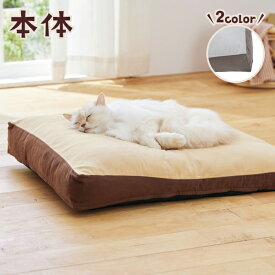 もっちりローカウチ 本体　犬 猫 ベッド 秋 冬 おしゃれ シンプル 高品質 寝やすい ふかふか シニア 老犬 ペット ペピイ