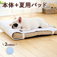 もっちりローカウチ　春夏用 本体+夏用パッド ペピイ