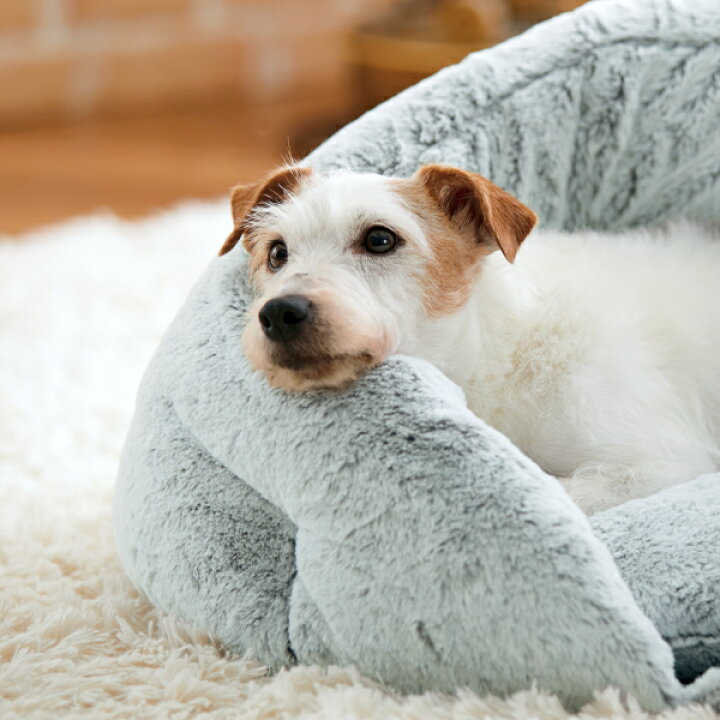 楽天市場 スノーシェルベッド ｍ 犬 猫 ベッド 冬 もこもこ ふわふわ 可愛い グレー防寒 ペット ペピイ Peppy Peppy ペピイ 楽天市場店