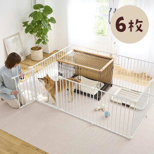 AWT[NEX`[ ybg T[N P[W g  L ܂肽 60  ybg pl ~`