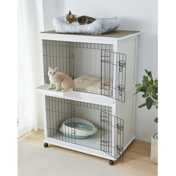 楽天市場】犬 猫 サークル 2階建てわんにゃんルーム 犬 猫 ケージ いぬ 