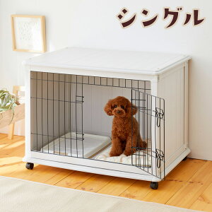 ɂ񃋁[@VO@ L P[W zCg  CeA 킢 ybg