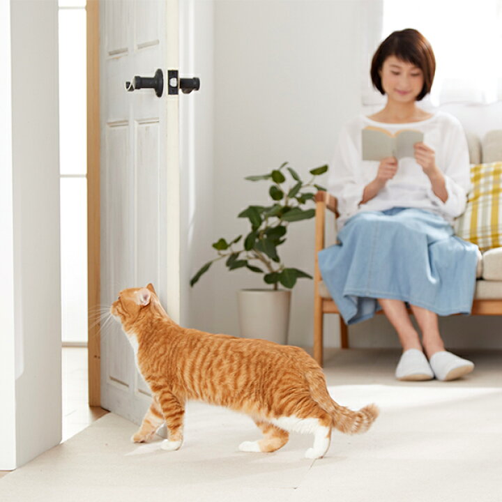 楽天市場 わん にゃんフリーパス 犬 猫 ペットドア 犬用ドア 猫用ドア 冷暖房対策 ペット Peppy ペピイ Peppy ペピイ 楽天市場店