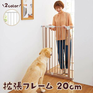 głX`[Q[g nC^Cv gt[ 20cm@͊gt[łB{͕̂ʔƂȂ܂B