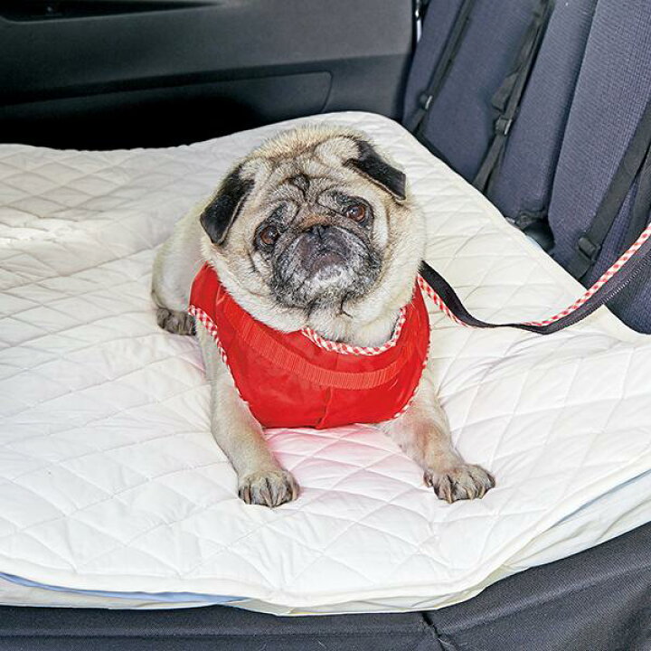 楽天市場 消臭達人 極 スペースボード専用マット 本体 犬 猫 臭い 車 ドライブ おしっこ 体臭 消臭 抗菌 敷きパッド Peppy ペピイ Peppy ペピイ 楽天市場店