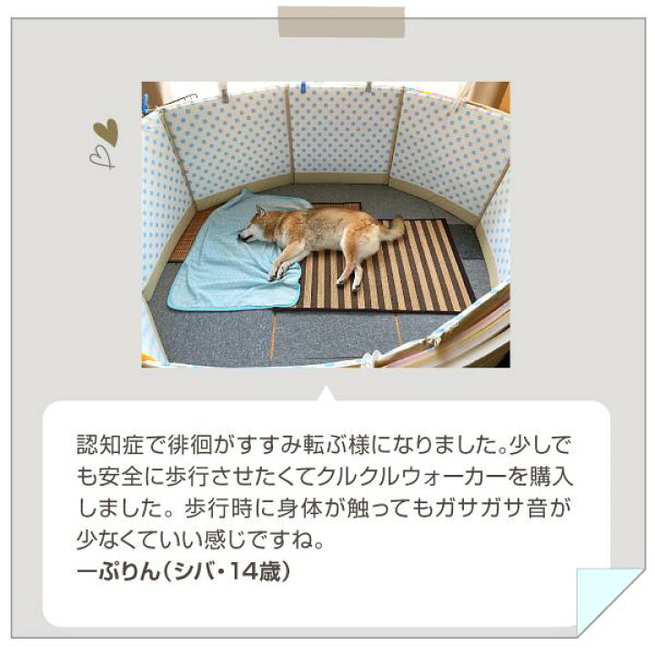 楽天市場】【12/1限定 ポイント5倍☆】ぶつかりと挟まりを防ぐ 