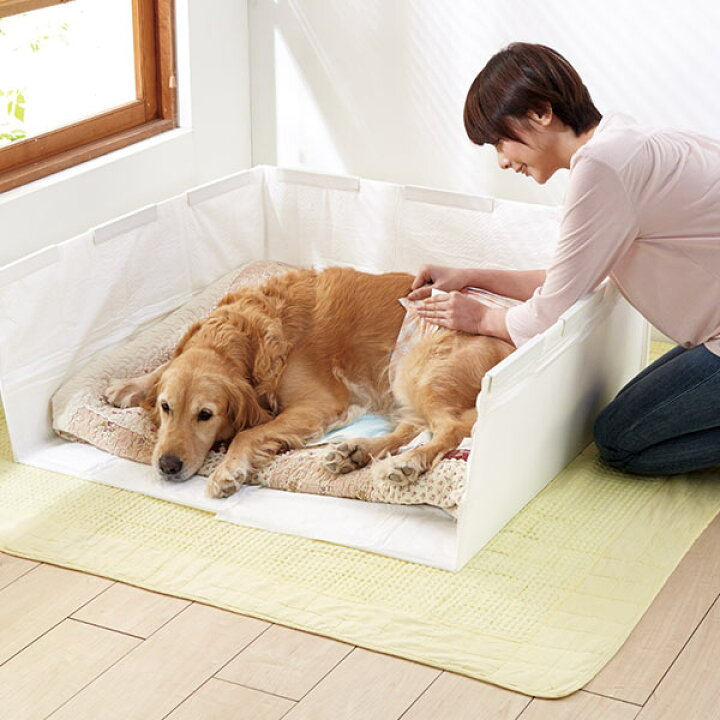 市場 犬 トイレトレー 子犬 トイレ 飛び散り オス メッシュ 囲い 犬トイレ 犬用 雄 防止 トレー はみ出し トレーニング トイレトレーニング おす