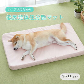 アルテア体圧分散マット 低反発ベッド 介護用ベッド 体圧分散 介護 ベッド 褥瘡 寝たきり 床ずれ 低反発 国産 ペピイオリジナル 小型犬 中型犬 大型犬 オールシーズン コットン 綿 洗濯 老犬 シニア シニア犬 老猫 猫 シニア猫 ウレタン