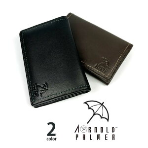 S3F Arnold Palmer A[mhp[}[ _炩rv h J[hP[X  a LO v[g Mtg 