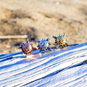 nCAWG[ sAX Ўp fB[X Y z XN[ g T[WJ XeX  a LO v[g Mtg 