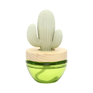 APRICUS AvNX JN^XfBt[U[ x_[ T{e A}fBt[U[  rO Q  a LO v[g Mtg 