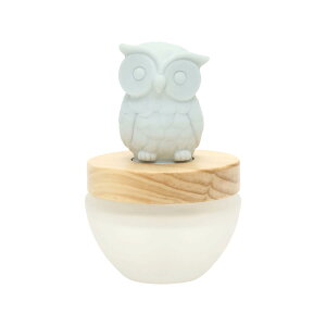 APRICUS AvNX JN^XfBt[U[ CO[ A}fBt[U[  rO Q  a LO v[g Mtg 