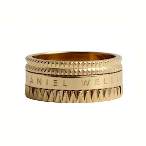 �y�M�t�g�Ή��z�_�j�G���E�F�����g�� DANIEL WELLINGTON �����O Elevation Ring Gold �w�� �����Y ���f�B�[�X ������ �����A�����M�[�Ή� ��i �A�N�Z�T���[ �W���G���[ ������� �l�C �u�����h �a��