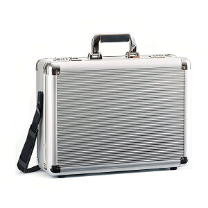 L GKXg G GUSTO Y A~P[X A~A^bVP[X obO Vo[  rWlX rWJW a LO v[g Mtg 