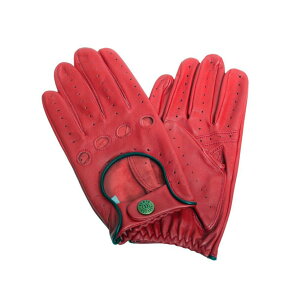 Eō̊v fc DENTS  hCrOO[u Y bh ubN h i ʊw ʋ lC uh  a LO v[g Mtg 