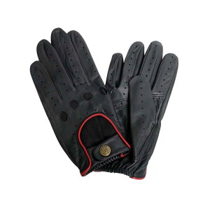 Eō̊v fc DENTS  hCrOO[u Y ubN bh h i ʊw ʋ lC uh  a LO v[g Mtg 