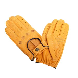 Eō̊v fc DENTS  hCrOO[u Y }X^[h ubN h i ʊw ʋ lC uh  a LO v[g Mtg 