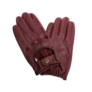 Eō̊v fc DENTS  hCrOO[u Y Cbh ubN h i ʊw ʋ lC uh  a LO v[g Mtg 