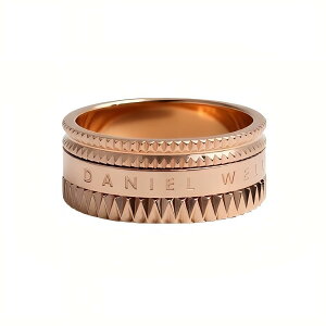 �y�M�t�g�Ή��z�_�j�G���E�F�����g�� DANIEL WELLINGTON �����O Elevation Ring Rose Gold �G���x�[�V���� ���[�Y�S�[���h �A�N�Z�T���[ �W���G���[ ������� �l�C �u�����h �a���� �L�O �v���[���g �M