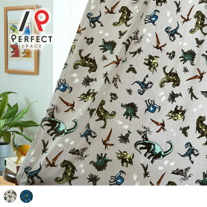 �y�ŒZ�E�����o�ׁz��Ռ��J�[�e�� �i���鐺���������Ă������I�����ăJ�b�R���������J�[�e���I �����b�N�X��