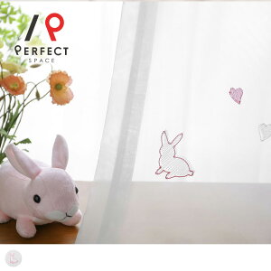 l AEgbg[XJ[e   􂦂 I[_[J[e I[_[ 2Zbg 1 D   Aj} n[g sN yŒZEoׁz