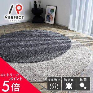�y�G���g���[��P5�{×�ő�3000�~OFF�N�[�|���z ���O ���O�}�b�g �J�[�y�b�g ���n �t�� �������� ���Y �V���M�[���O �~�` 160×160 �O�~ ���イ����