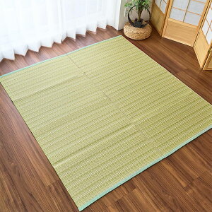 O  cn { 􂦂 I[V[Y h_j |vs100% a 85cm170cm Q ϋv ȒP O[ x[W uE lCr[