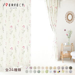 J[e I[_[J[e k Ռ h[vJ[e 킢  i` n  hJ  J[ n ԕ lC 2g 1 {