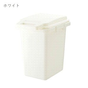 ゴミ箱 47L 抗菌ペール ふた付き パッキン付き 防臭 ダストボックス ごみ箱 フタ付きcup_dst0016