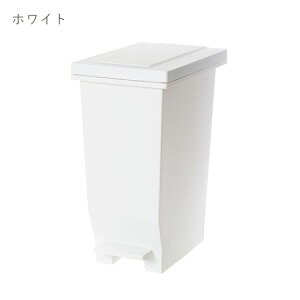S~ 30L Go y_y[ ӂt pbLt EBAN _Xg{bNX ݔ cup_dst0018