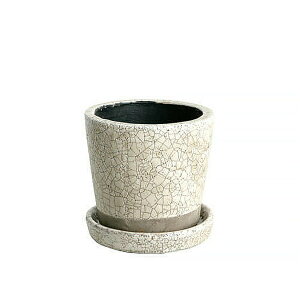 _g DULTON J[ OCYh |bg 2.5 (\[T[t) COLOR GLAZED POT 2.5 |pi Aؔ    O  T{e n[u | K[fjO A ꌊ cup_dtn0067