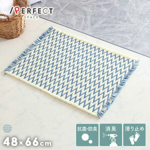 yח\mFzoX}bg z  VFu  R hL L ׂ~ g  v u[ 48×66cm ` Ƒ l炵 VFu