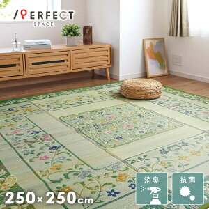 O ~ R 100% ԕ a_ a m 250cm 250cm Q ϋv ȒP O[