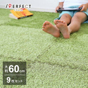 �Ő��� �W���C���g�}�b�g ��60×60cm 9������ 2�� �唻 �� �O���[�� �������L�����v �~���l�� �W���C���g���O �Ԃ���� �v���C�}�b�g �q������