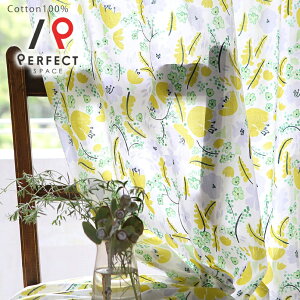 yAEgbgzԕ J[e Ռ  킢 A I[_[J[e 2Zbg 1 D t[ Be[W  VJ `[~O  ʕ ʉ k