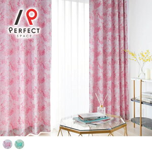 AEgbg J[e  􂦂 h I[_[J[e I[_[ 2Zbg 1 D ʕ t[  GKg K[[ sN