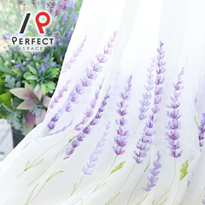 yXSi|CgAbvJÒzhJ[XJ[e  􂦂  ԕ I[_[J[e I[_[ 2Zbg 1 D x_[  t[ GKg zCg 