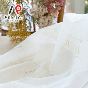 hJ[XJ[e  􂦂 I[_[J[e I[_[ 2Zbg 1 D  t[ hCt[ i` zCg