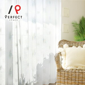 hJ[XJ[e  􂦂 uvJbg 􉽊w I[_[J[e I[_[ 2Zbg 1 D GXjbN XPb` zCg