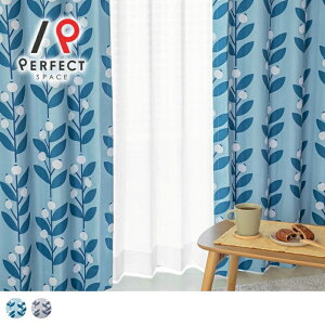 yAEgbgzyŒZEoׁz kJ[e 2Ռ ՌJ[e  킢 􂦂 ՔM A [t t I[_[J[e I[_[ 2Zbg 1 D t[ RP