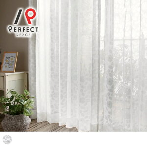 l AEgbg[XJ[e   􂦂 A [t t I[_[J[e I[_[ 2Zbg 1 D [t u[