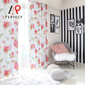 yՌntz 1ՌJ[e J[e Ռ 1 Ռ99.9% 􂦂 ՔM ۉ I[_[J[e I[_[ 2Zbg 1 D o t[   啿 GKg sN