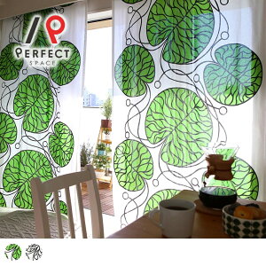 }bRJ[e k Ռ  킢 I[_[J[e I[_[ 2Zbg 1 D {bgi }bR [t 啿 fUCi[Y O[