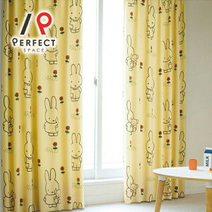 ~btB[ J[e 1Ռ ՌJ[e 99.99%  􂦂 h I[_[J[e I[_[ 2Zbg 1 D q LbY ̎q q  CG[