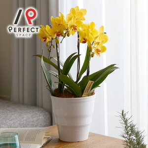 Ӓ  v[g Mtg j CeA }CN zCgECgsNErrbgsNECG[ ~fBӒ3{_CjOӒyŒZEoׁz